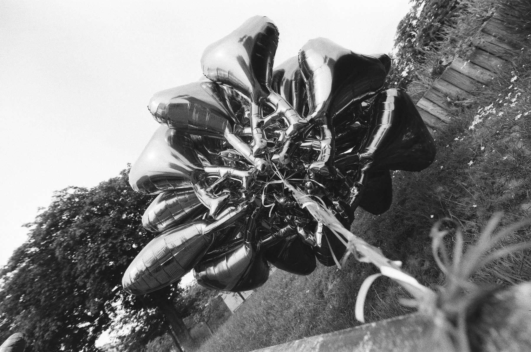 Film — Adrien Beaucheix