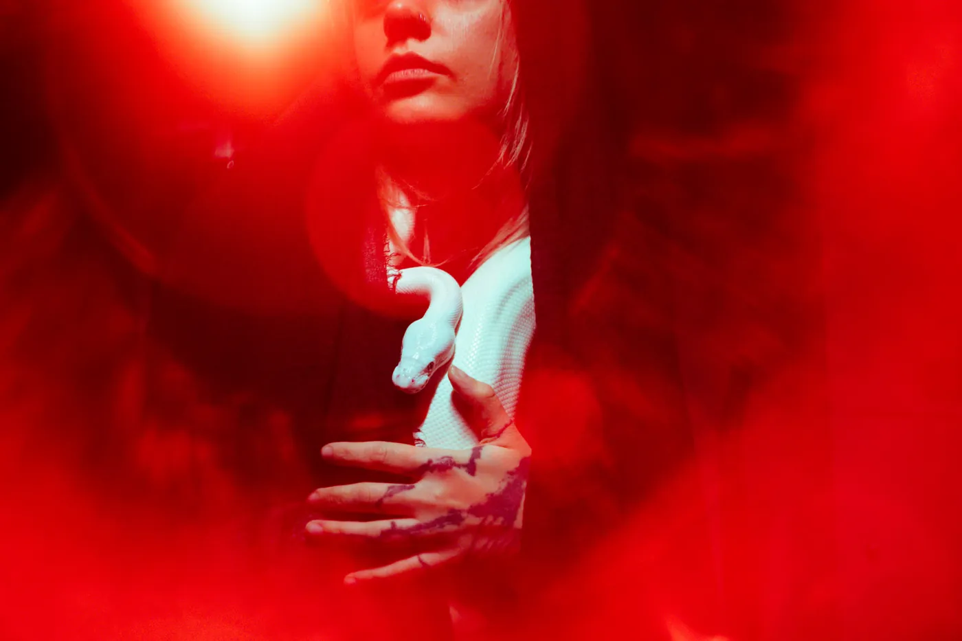 Portrait — Adrien Beaucheix