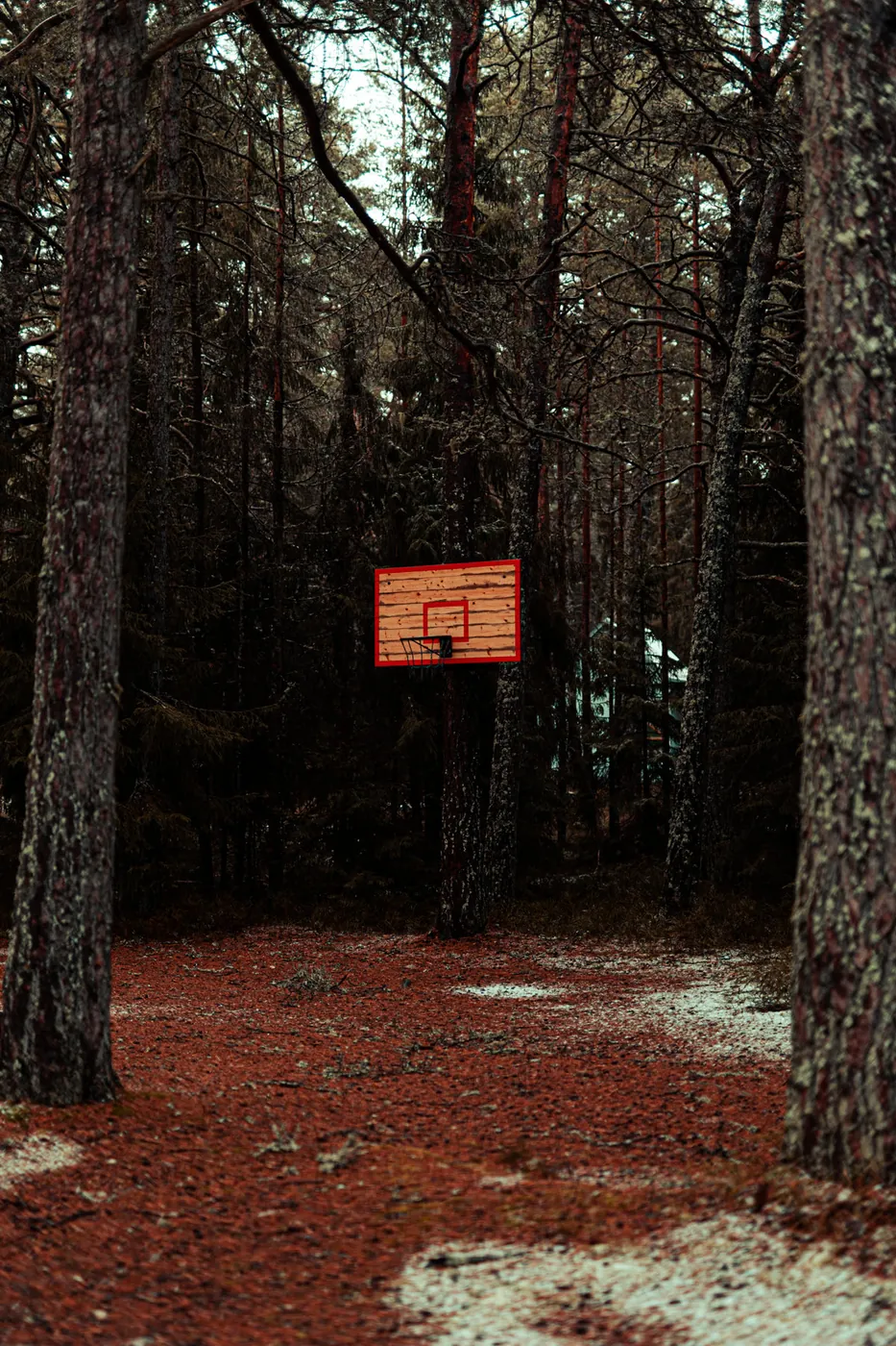 Still Life — Adrien Beaucheix