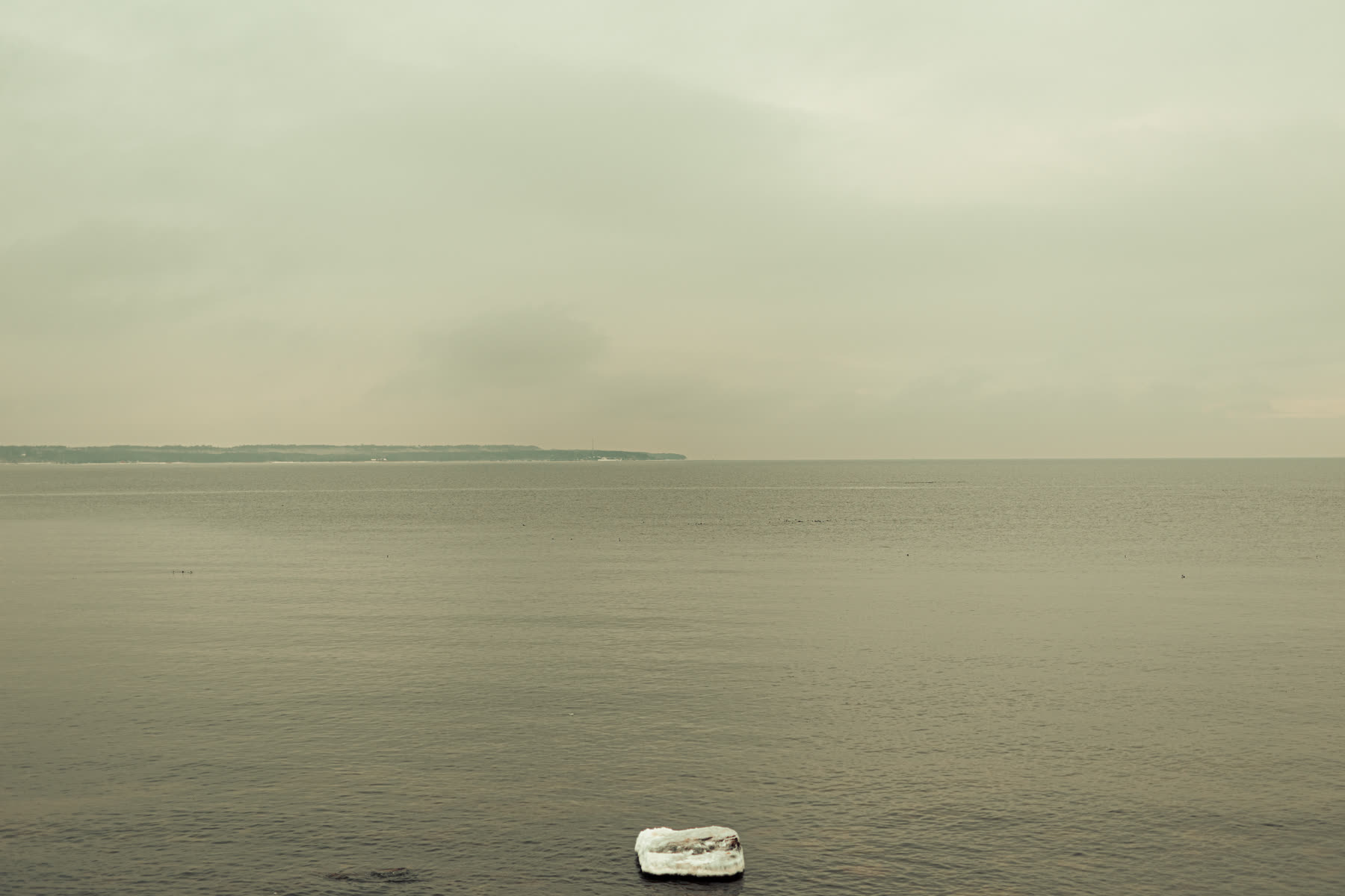 Still Life — Adrien Beaucheix