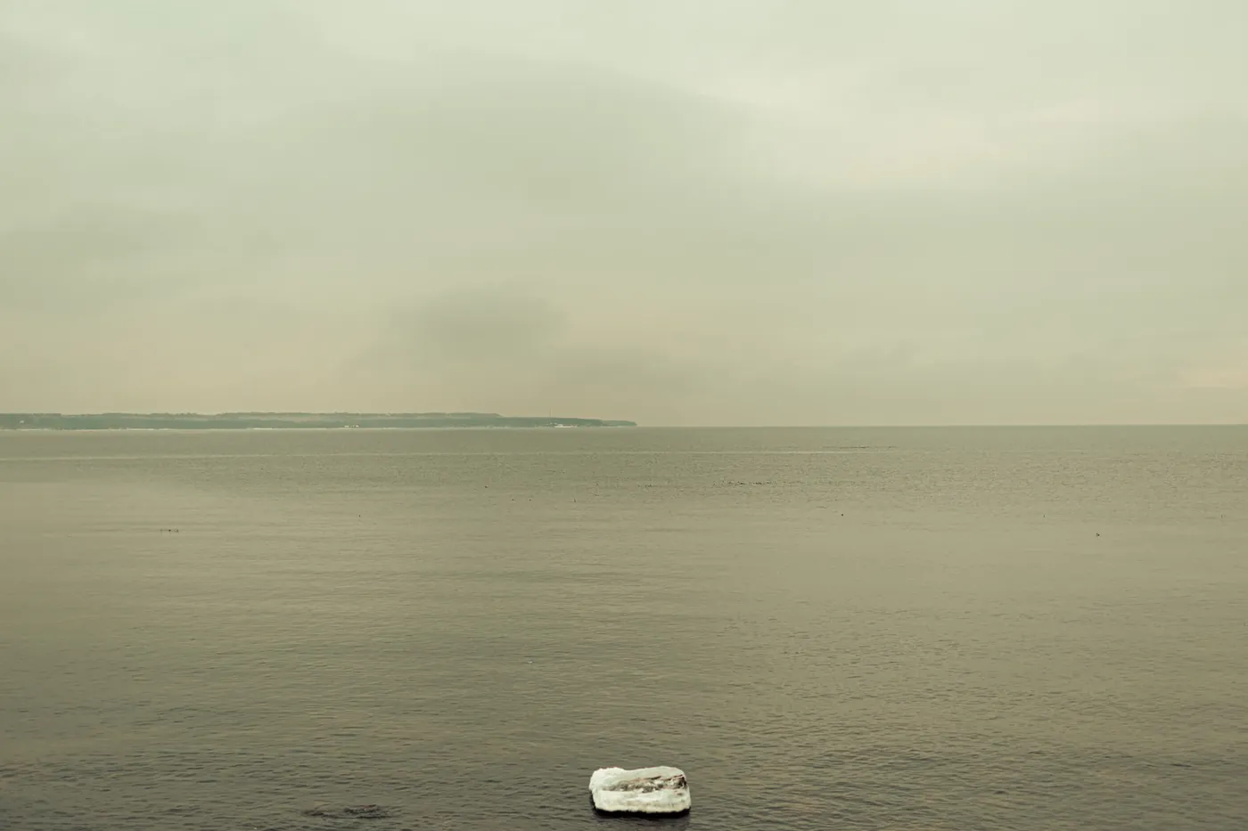 Still Life — Adrien Beaucheix